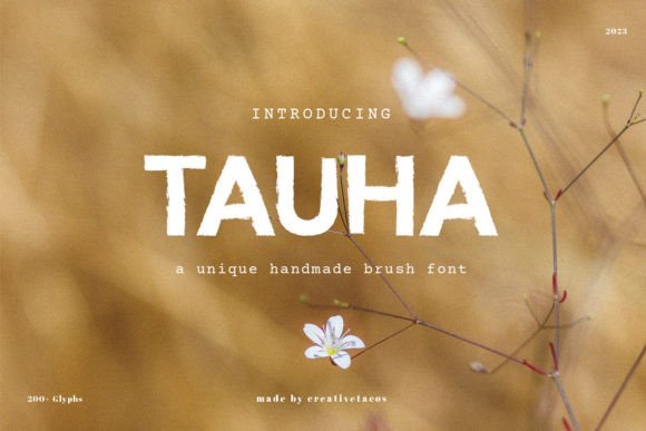 Tauha Typeface Review: A Rough Brush Font for Bold Campaigns