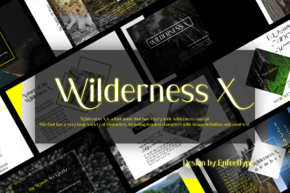 Wilderness X: A Versatile Sans Serif Typeface for Modern Digital Design